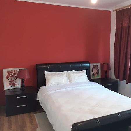 Apartament Cu 3 Camere La Poala Muntilor Fagaras Victoria  Bagian luar foto