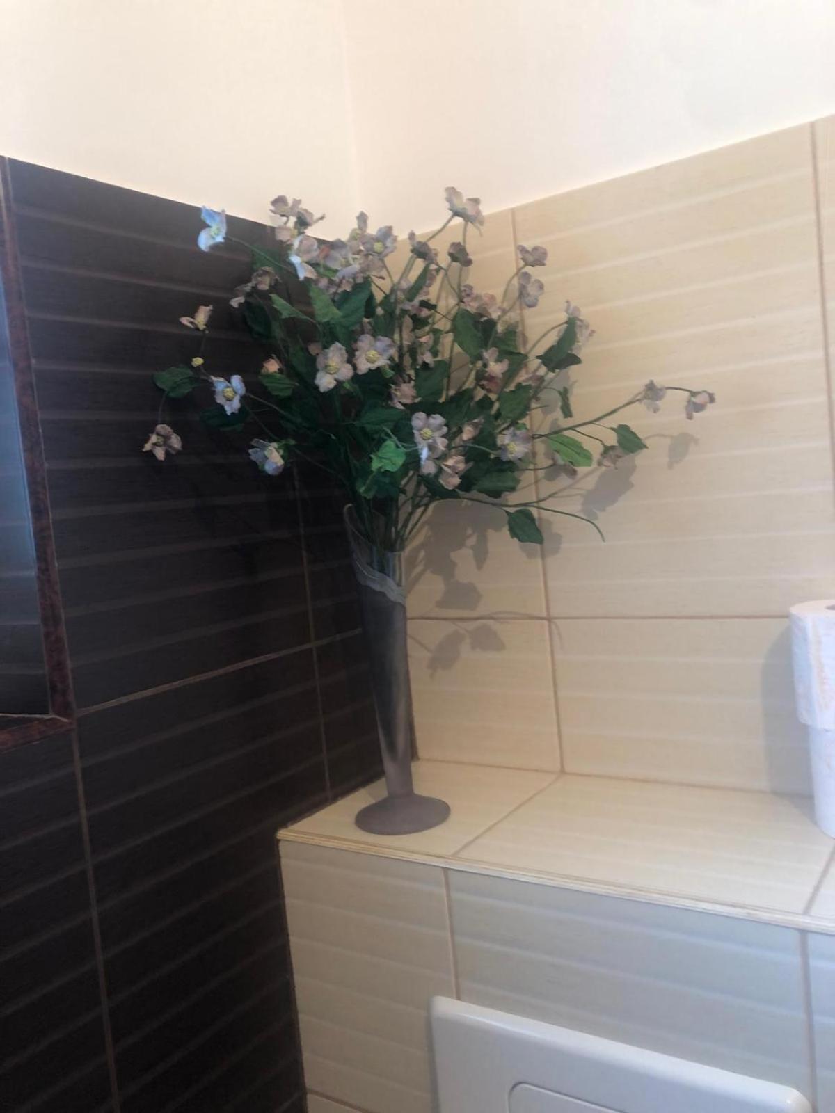 Apartament Cu 3 Camere La Poala Muntilor Fagaras Victoria  Bagian luar foto