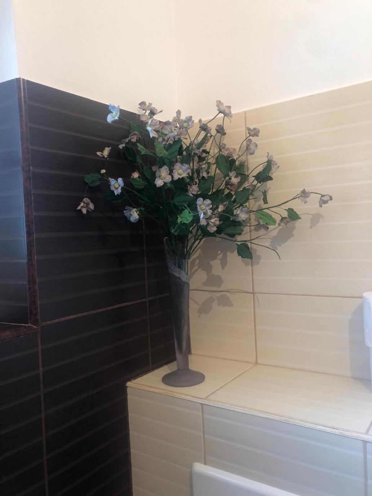 Apartament Cu 3 Camere La Poala Muntilor Fagaras Victoria  Bagian luar foto