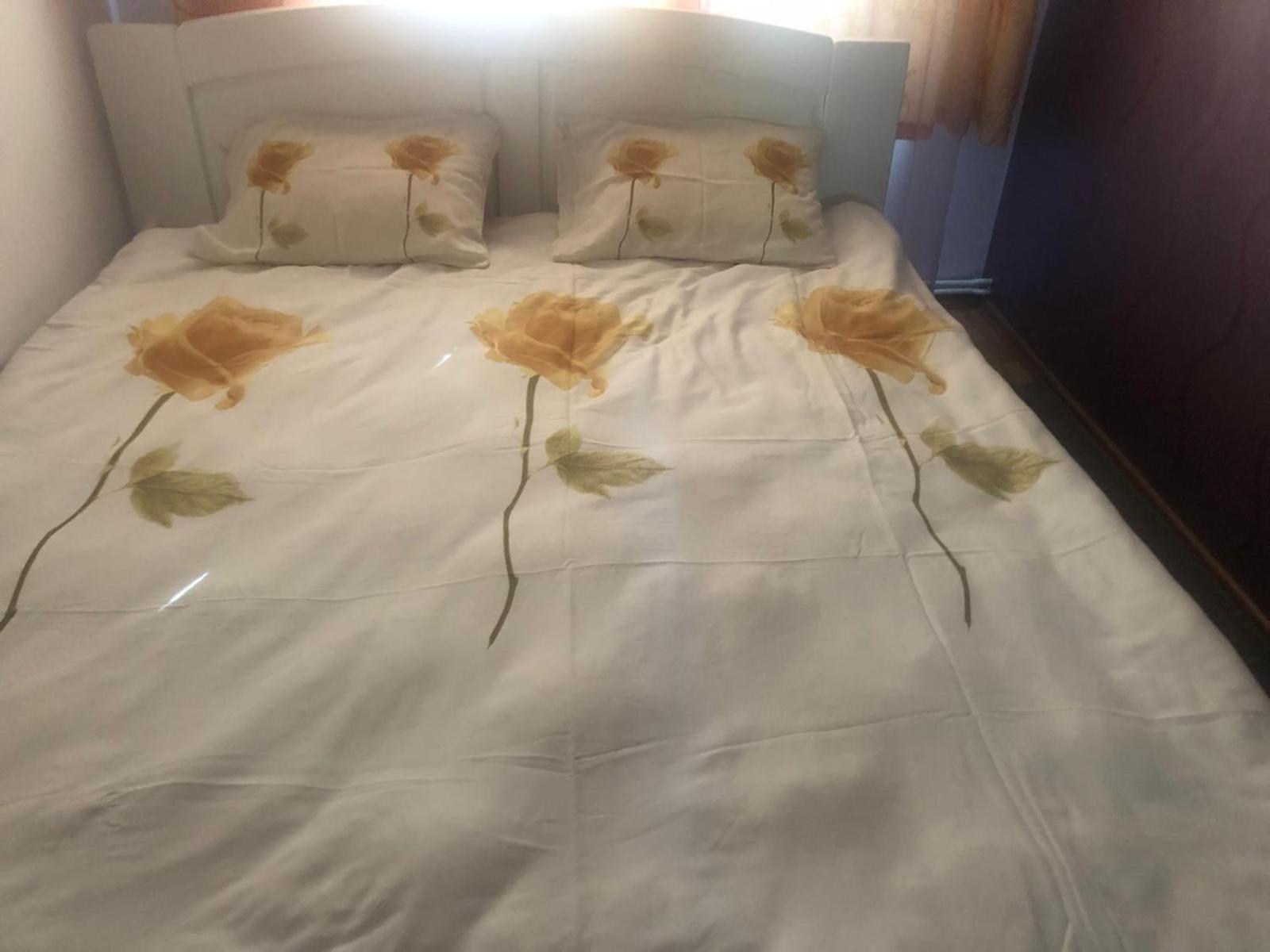 Apartament Cu 3 Camere La Poala Muntilor Fagaras Victoria  Bagian luar foto
