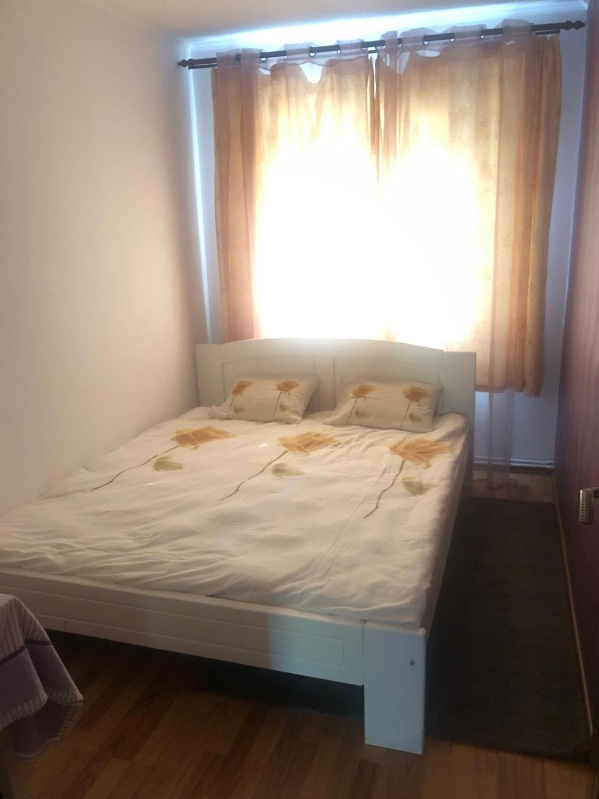 Apartament Cu 3 Camere La Poala Muntilor Fagaras Victoria  Bagian luar foto